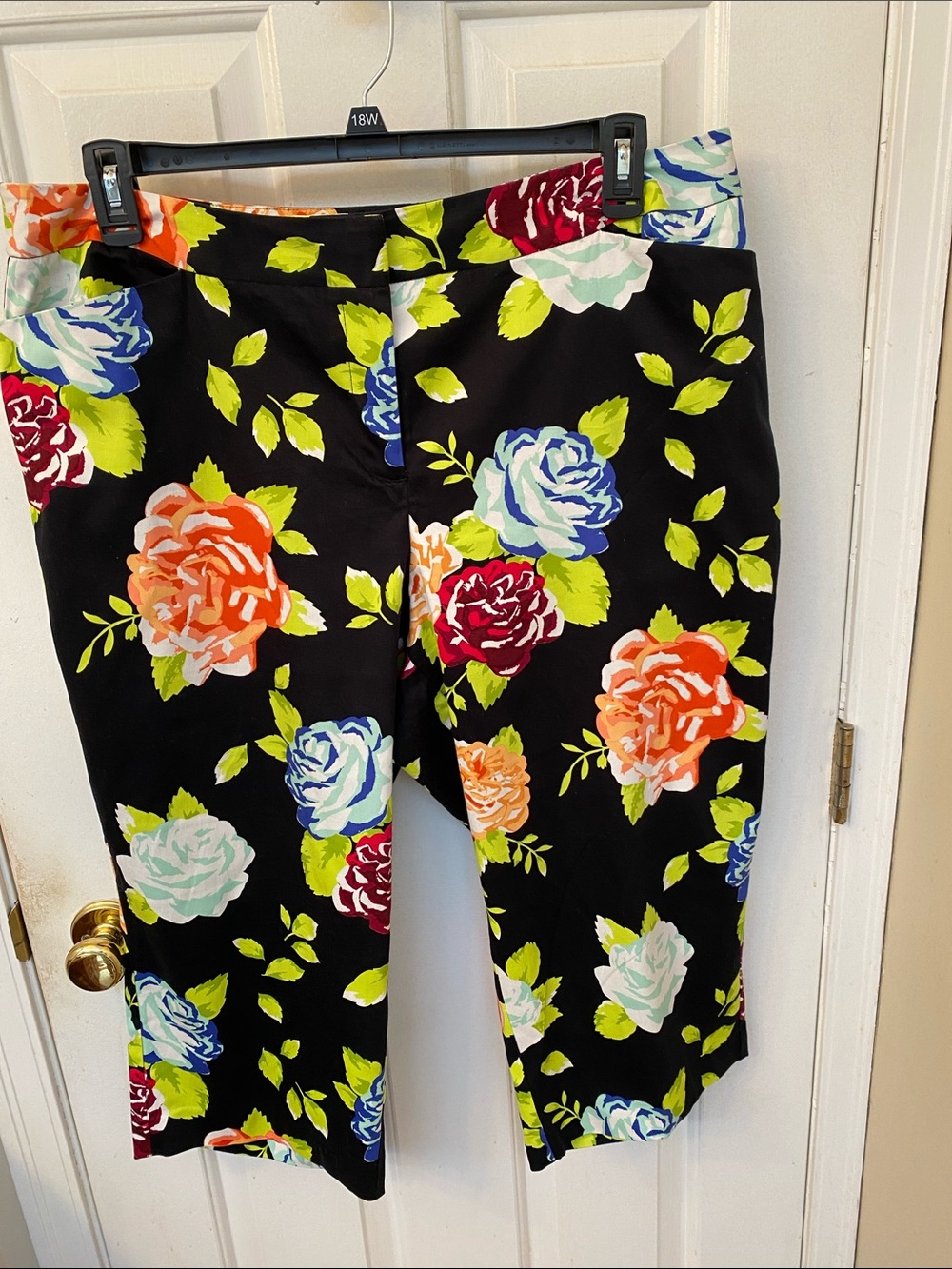 Cato Black Floral Capris with Multicolor Roses